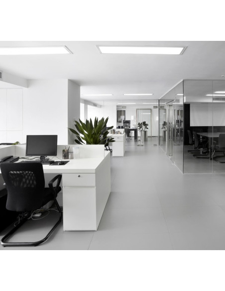 Century Titanio 80 X 80